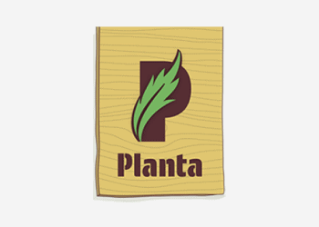 Planta